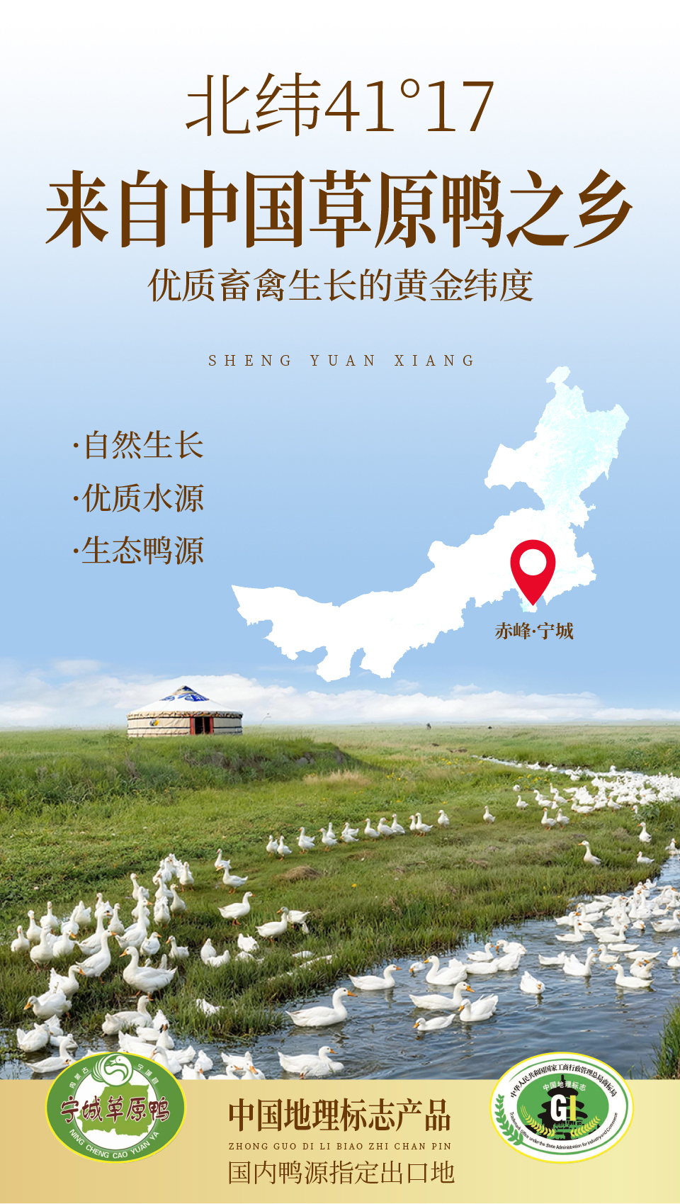 03-三优鸭源