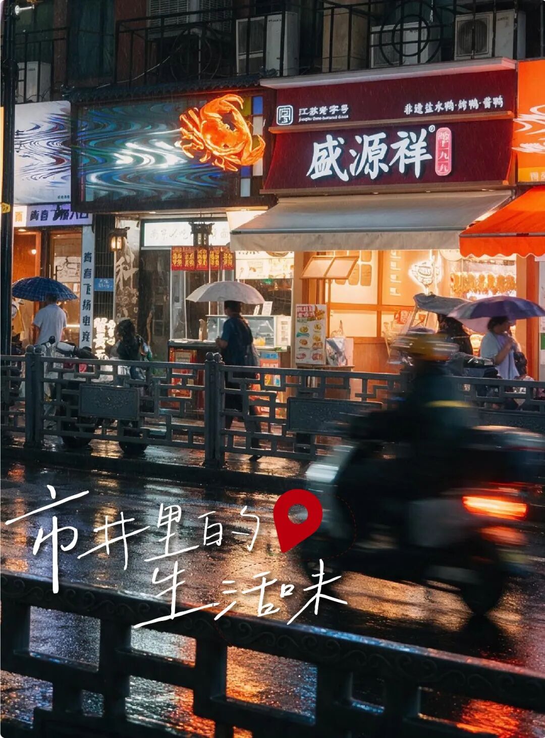家门口的鸭子-03